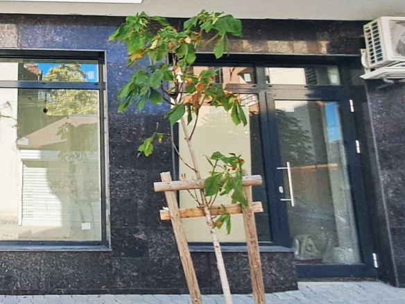 ПОМЕЩЕНИЕ 30 М² И ВИТРИНА КЪМ УЛИЦАТА - 0